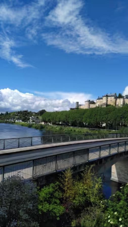 Le Nid De L'Ile Apartment Шинон Екстериор снимка